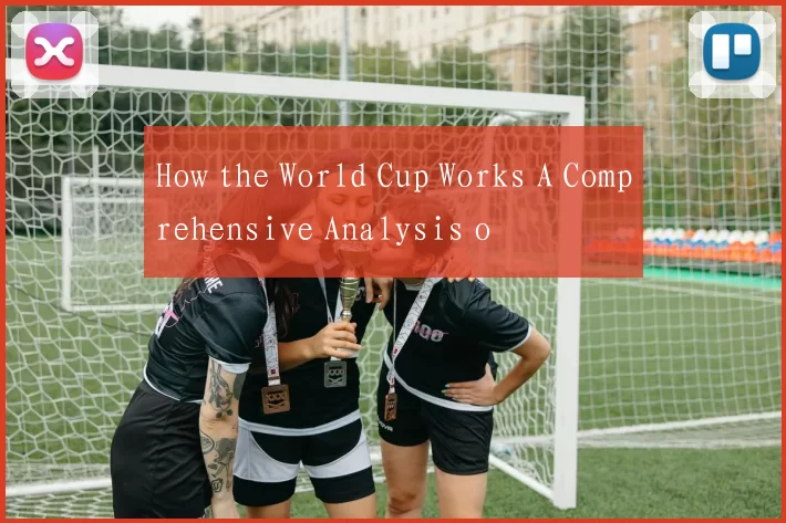 How the World Cup Works A Comprehensive Analysis o