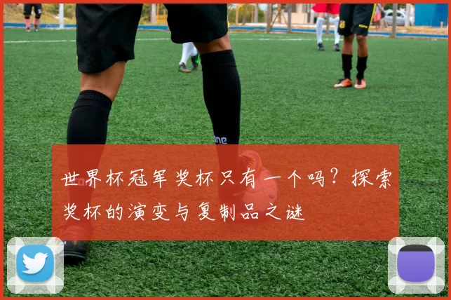 世界杯冠军奖杯只有一个吗?探索奖杯的演变与复制品之谜