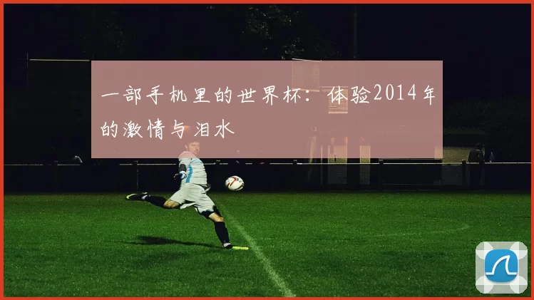 一部手机里的世界杯：体验2014年的激情与泪水