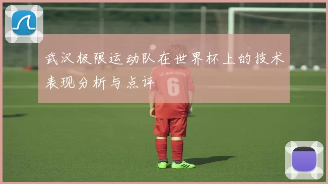 武汉极限运动队在世界杯上的技术表现分析与点评