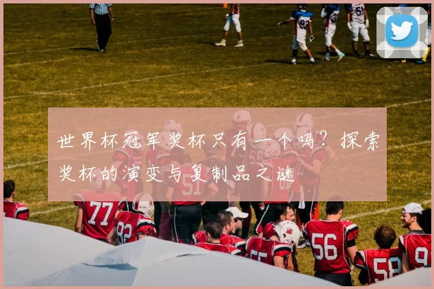 世界杯冠军奖杯只有一个吗?探索奖杯的演变与复制品之谜