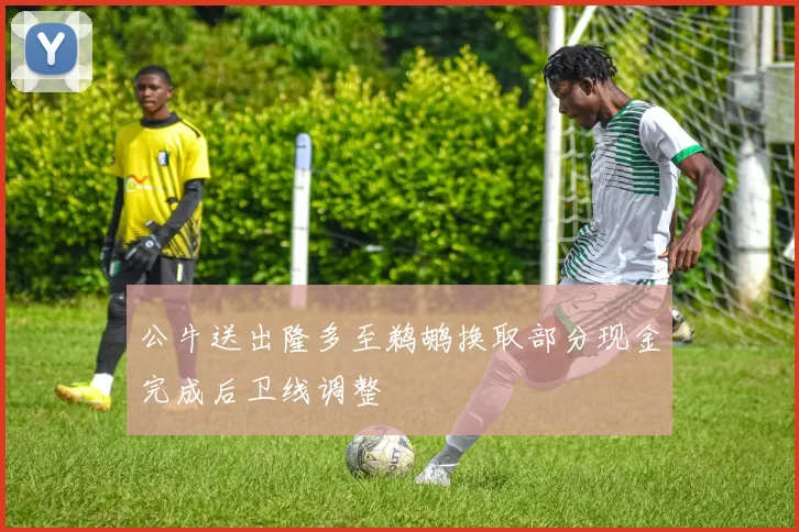 公牛送出隆多至鹈鹕换取部分现金完成后卫线调整