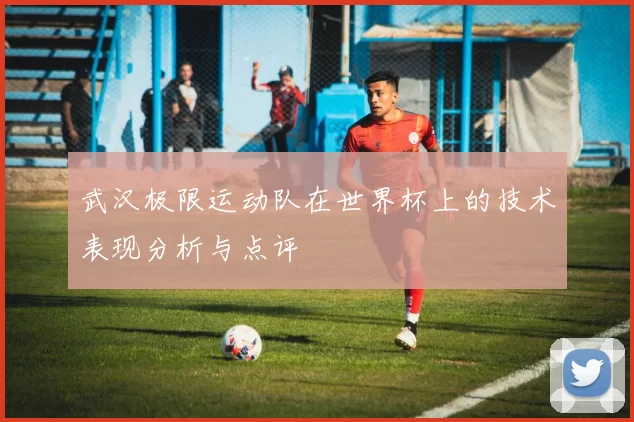 武汉极限运动队在世界杯上的技术表现分析与点评
