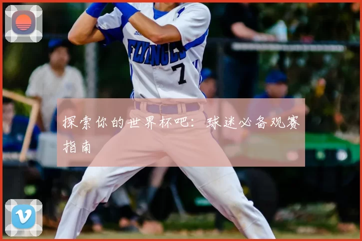 探索你的世界杯吧：球迷必备观赛指南
