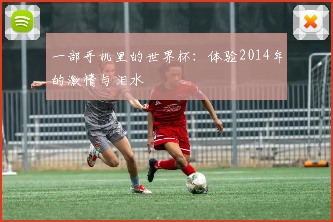 一部手机里的世界杯：体验2014年的激情与泪水