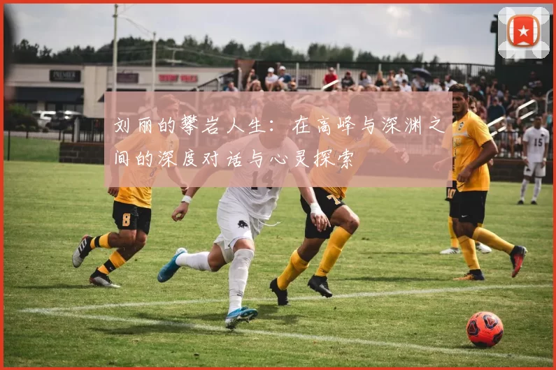 刘丽的攀岩人生:在高峰与深渊之间的深度对话与心灵探索