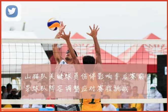 山猫队关键球员伤停影响季后赛前景球队阵容调整应对赛程挑战