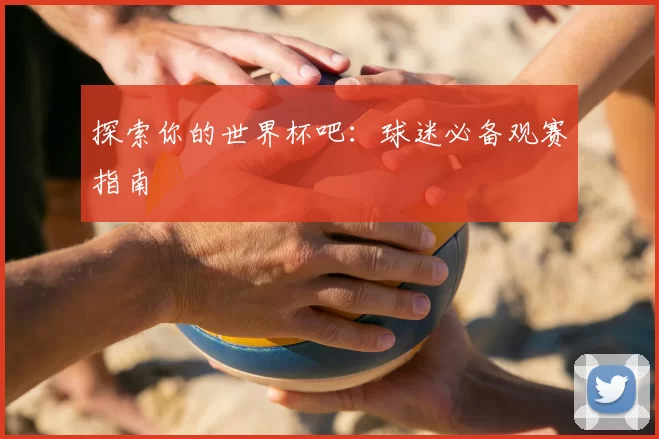 探索你的世界杯吧：球迷必备观赛指南
