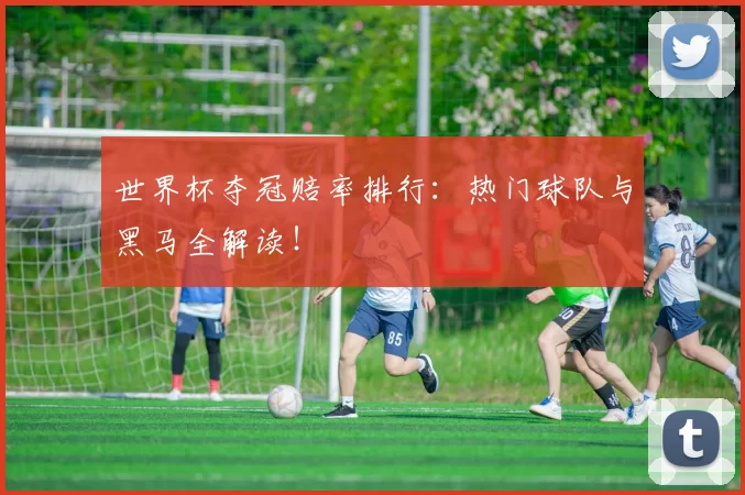 世界杯夺冠赔率排行：热门球队与黑马全解读！