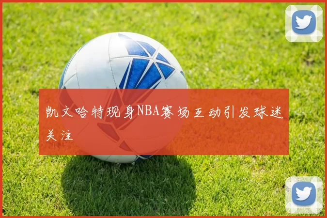 凯文哈特现身NBA赛场互动引发球迷关注