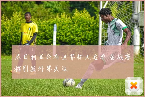 尼日利亚公布世界杯大名单 备战赛程引发外界关注