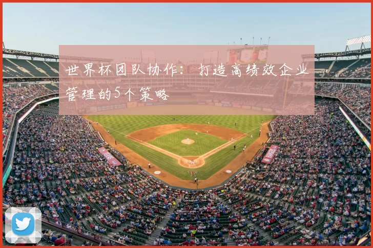 世界杯团队协作:打造高绩效企业管理的5个策略