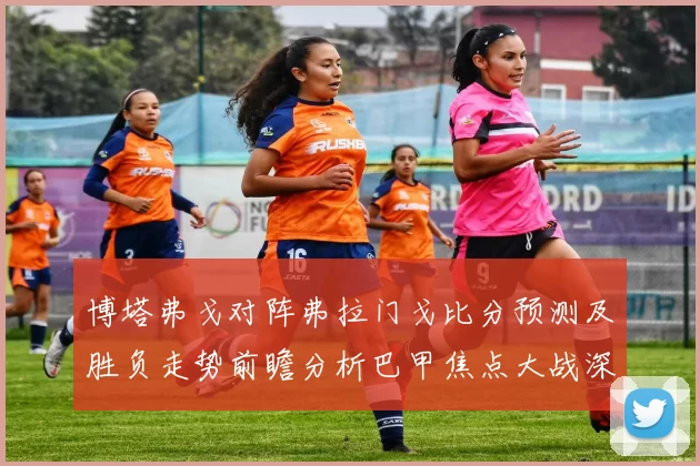 博塔弗戈对阵弗拉门戈比分预测及胜负走势前瞻分析巴甲焦点大战深度解读