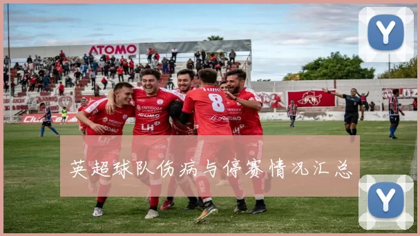 英超球队伤病与停赛情况汇总