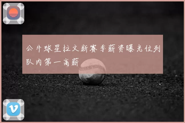 公牛球星拉文新赛季薪资曝光位列队内第一高薪