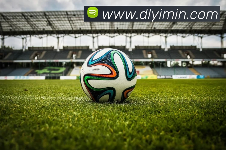 华体会app服务体系